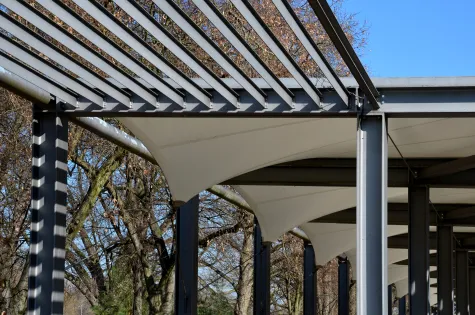 Dominik Toráč, Pergola